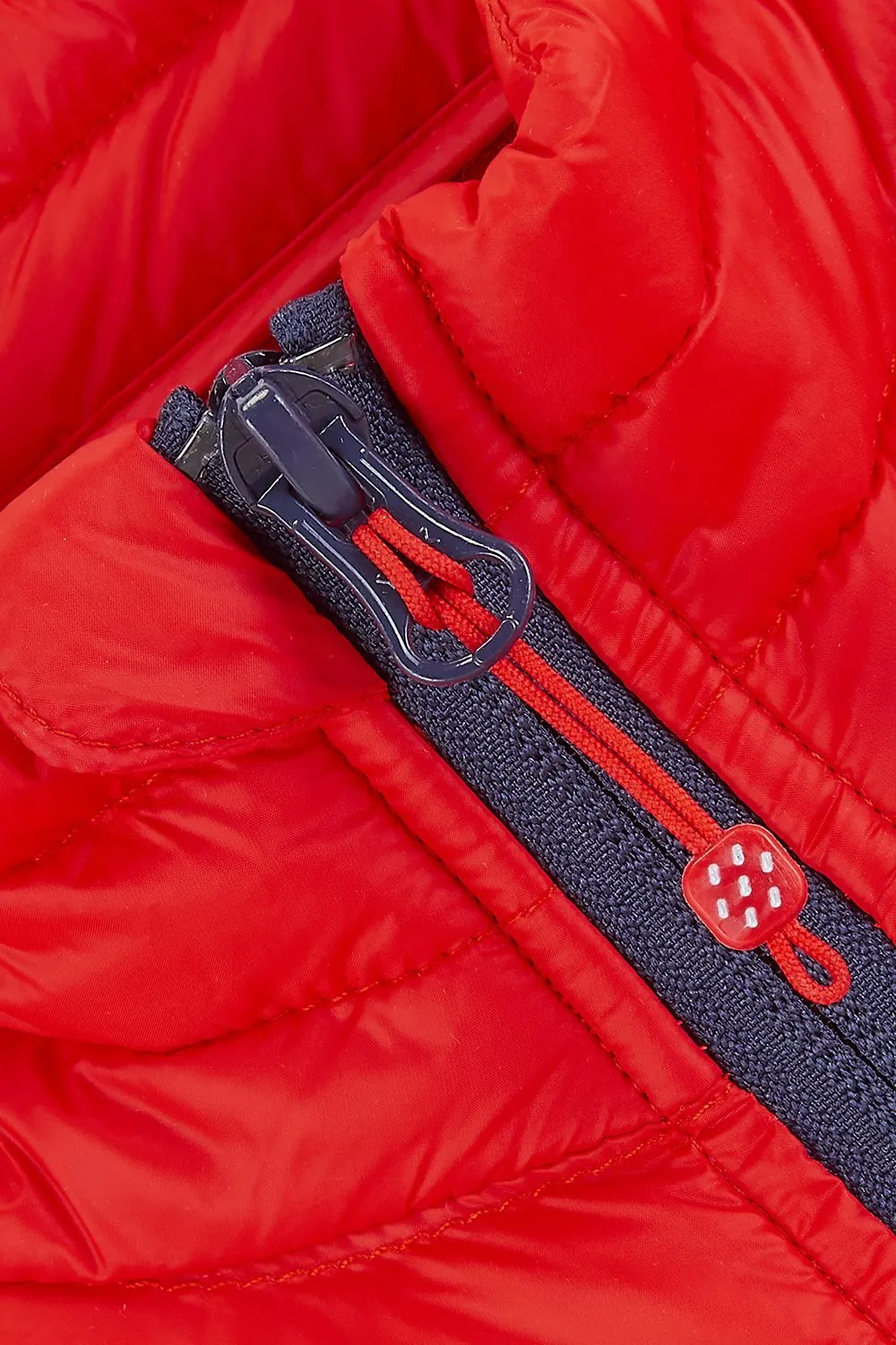 Alpine Mens Down Gilet - Red