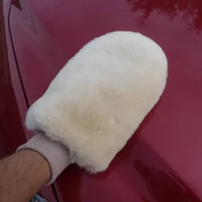 Auto Mitt