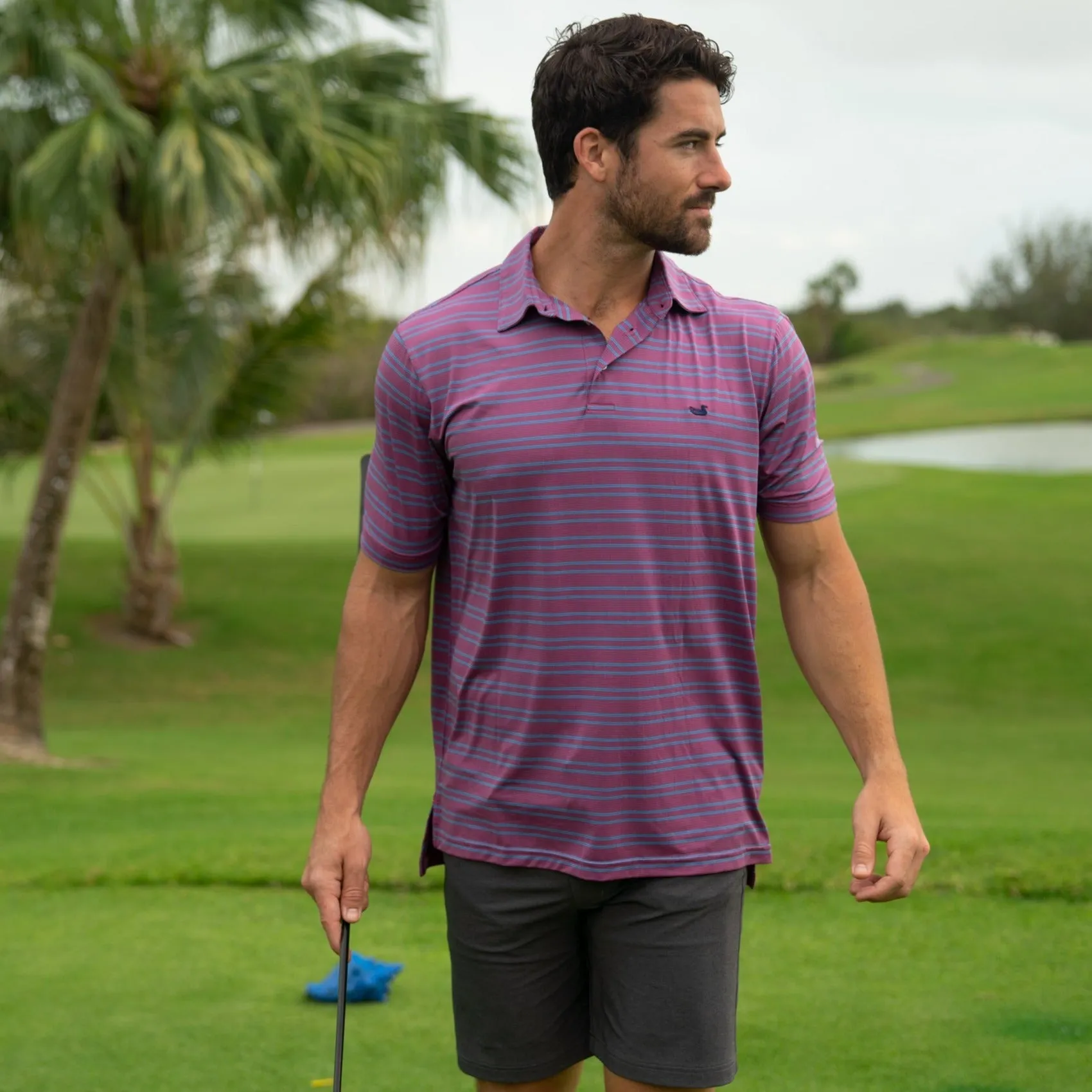 Bermuda Performance Polo - Naples Stripe