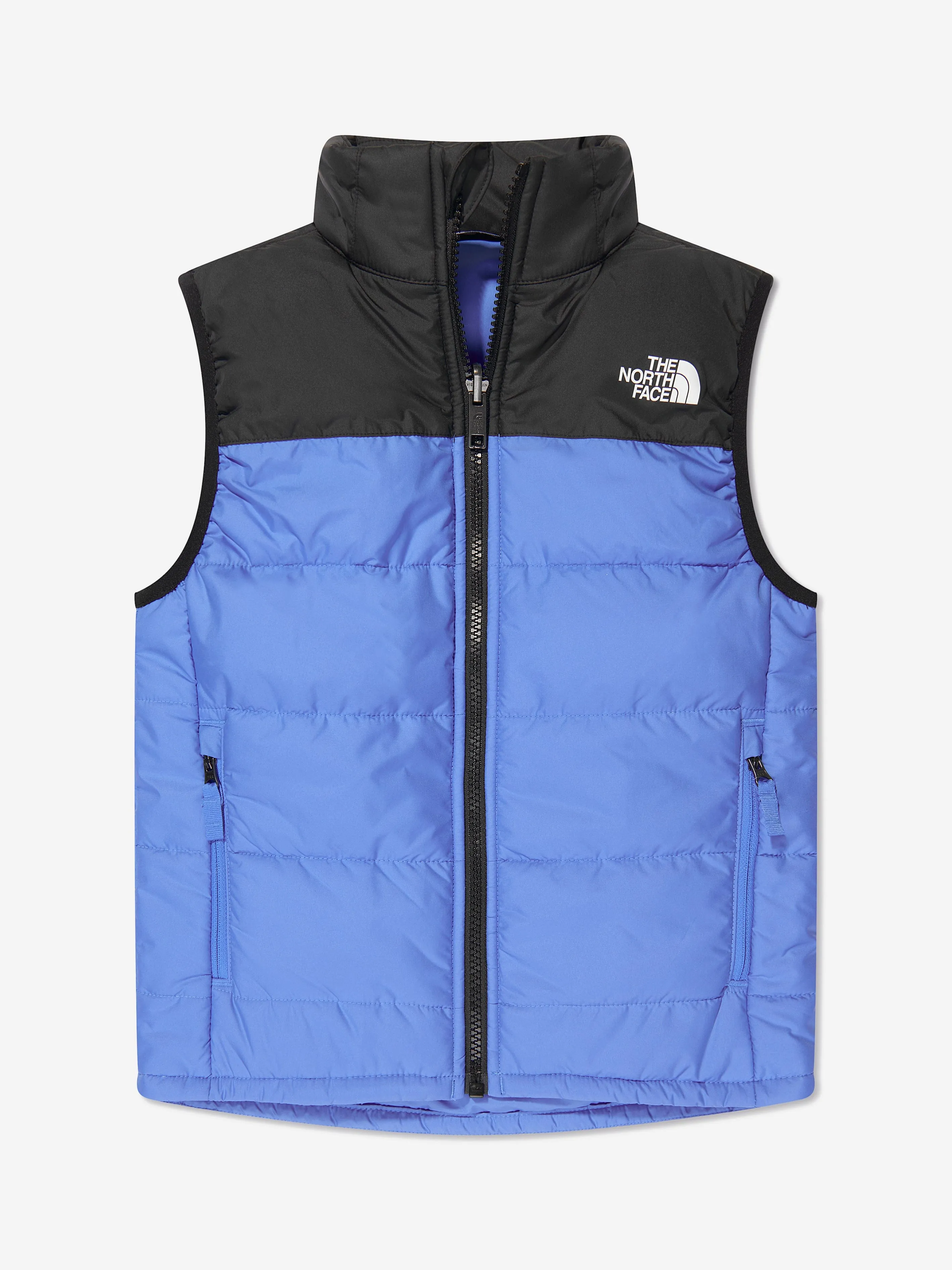 The North Face Kids Never Stop Synthetic Gilet in Blue