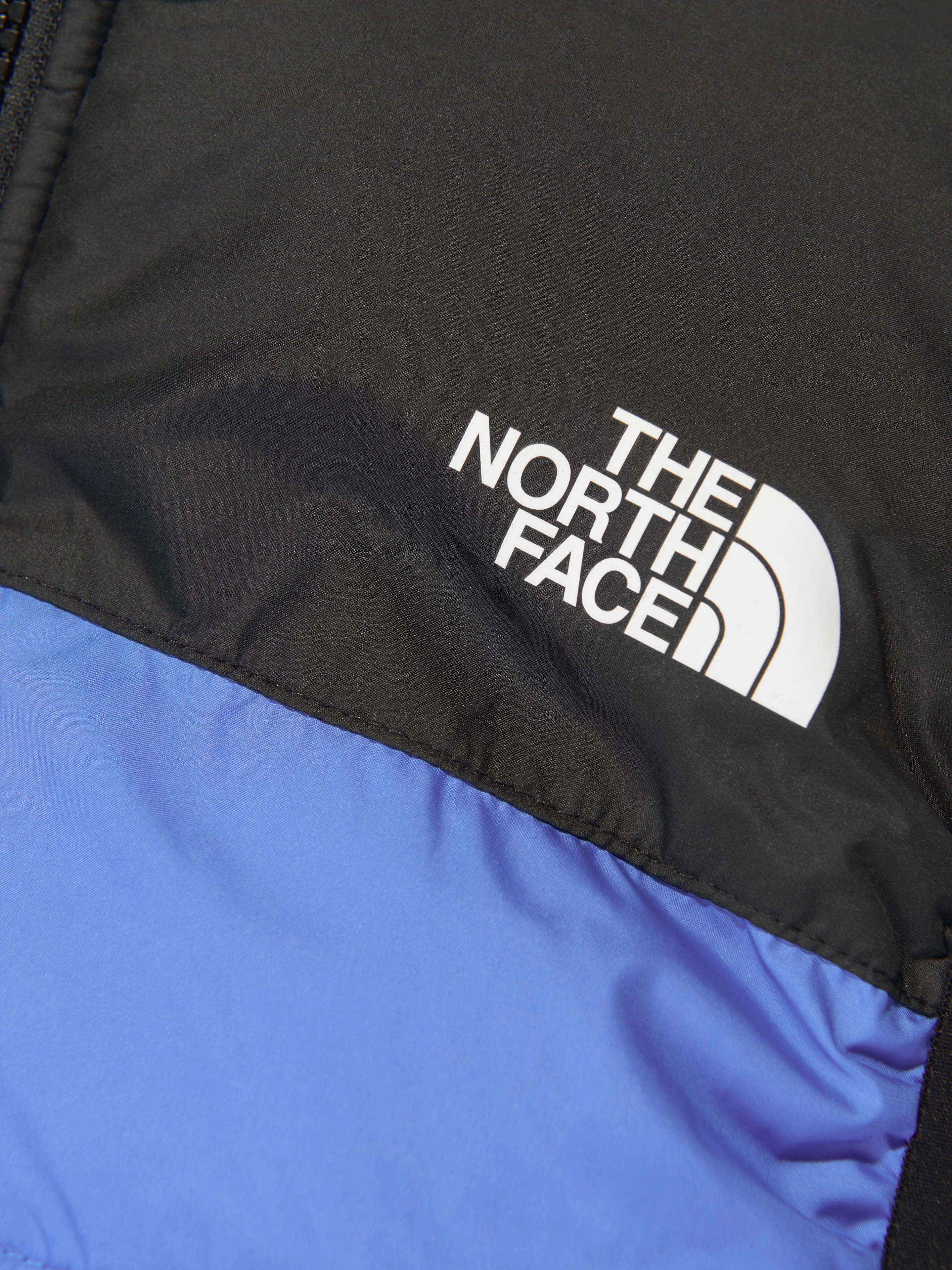 The North Face Kids Never Stop Synthetic Gilet in Blue